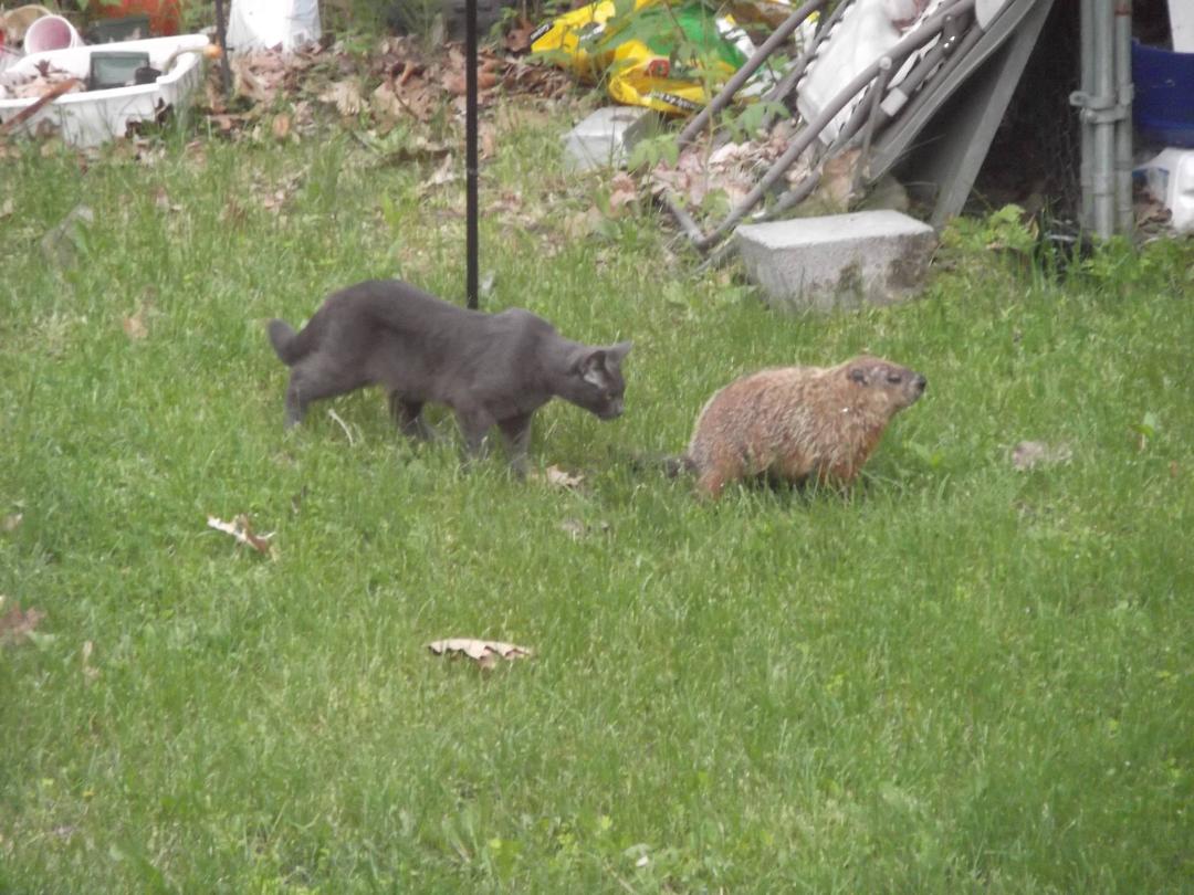 Bob McVicker's album, Photos