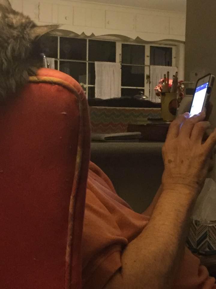 John Cutright's album, Photos