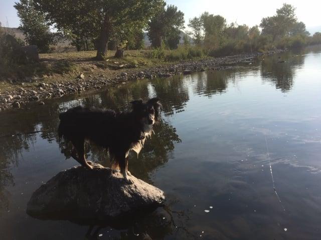 Mark School Counselor's album, Photos