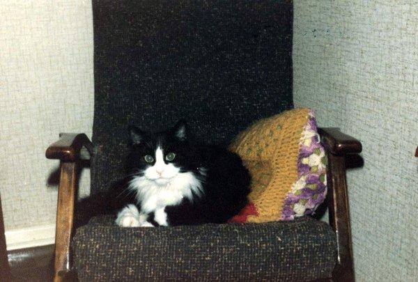 Ron Bird's album, Photos