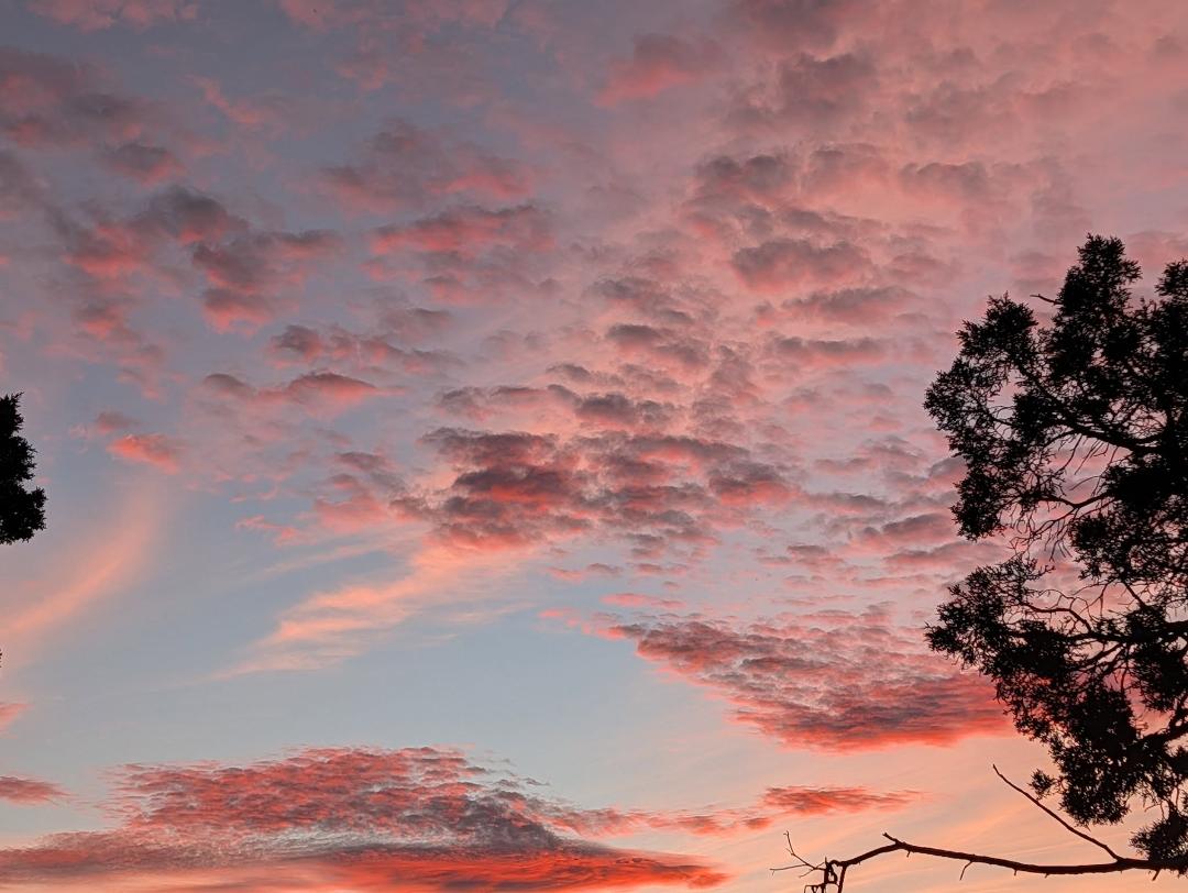 Beautiful colors this evening.