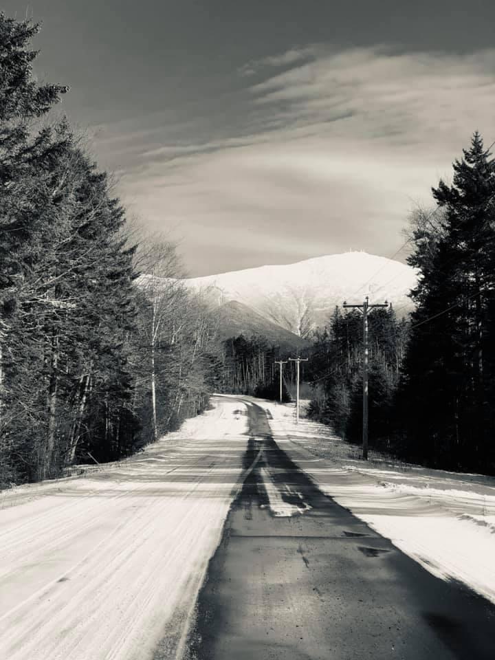 David Johnson's album, Photos