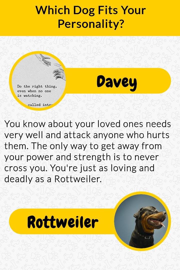Davey Smith's album, Photos
