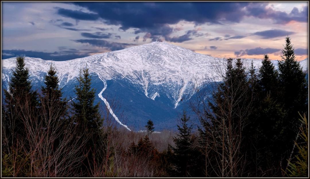 David Johnson's album, Photos