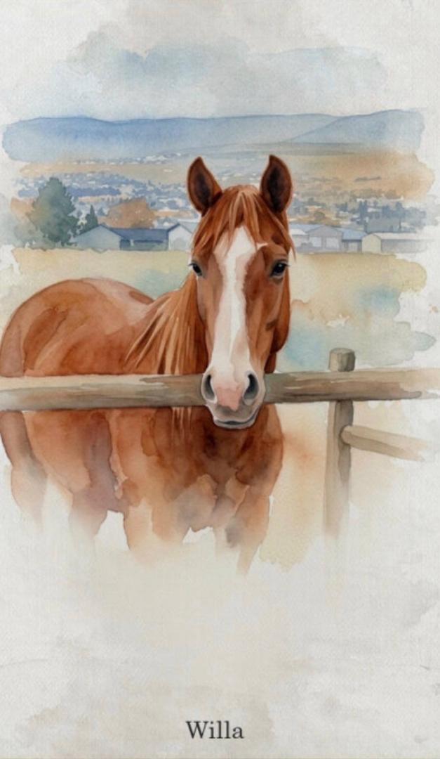 Donna busch's album, Mobile uploads