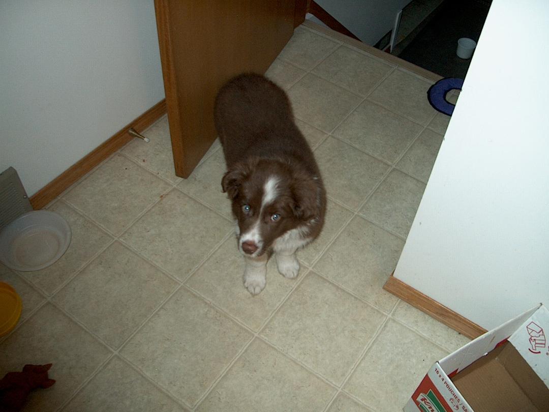Darryl Kilert's album, Photos