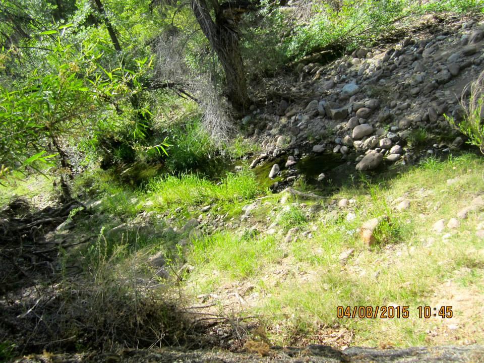Fred Searing's album, Boyce Thompson Arboretum