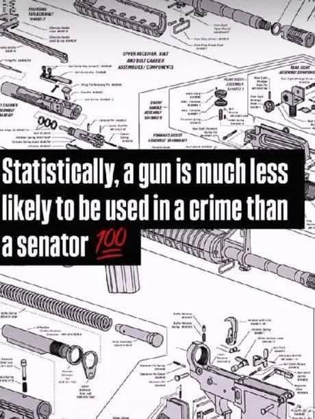 I'm not quite sure how to interpret this meme. Are they saying that shooting a Senator is not a crime? Or are they saying that guns are used in crimes less often than Senators are? Personally, I'd like an investigation t