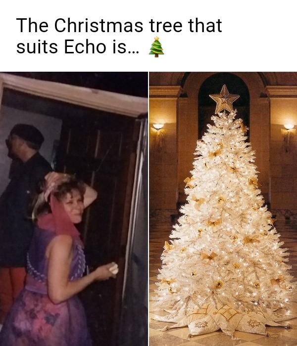 Echo Taylor's album, Photos