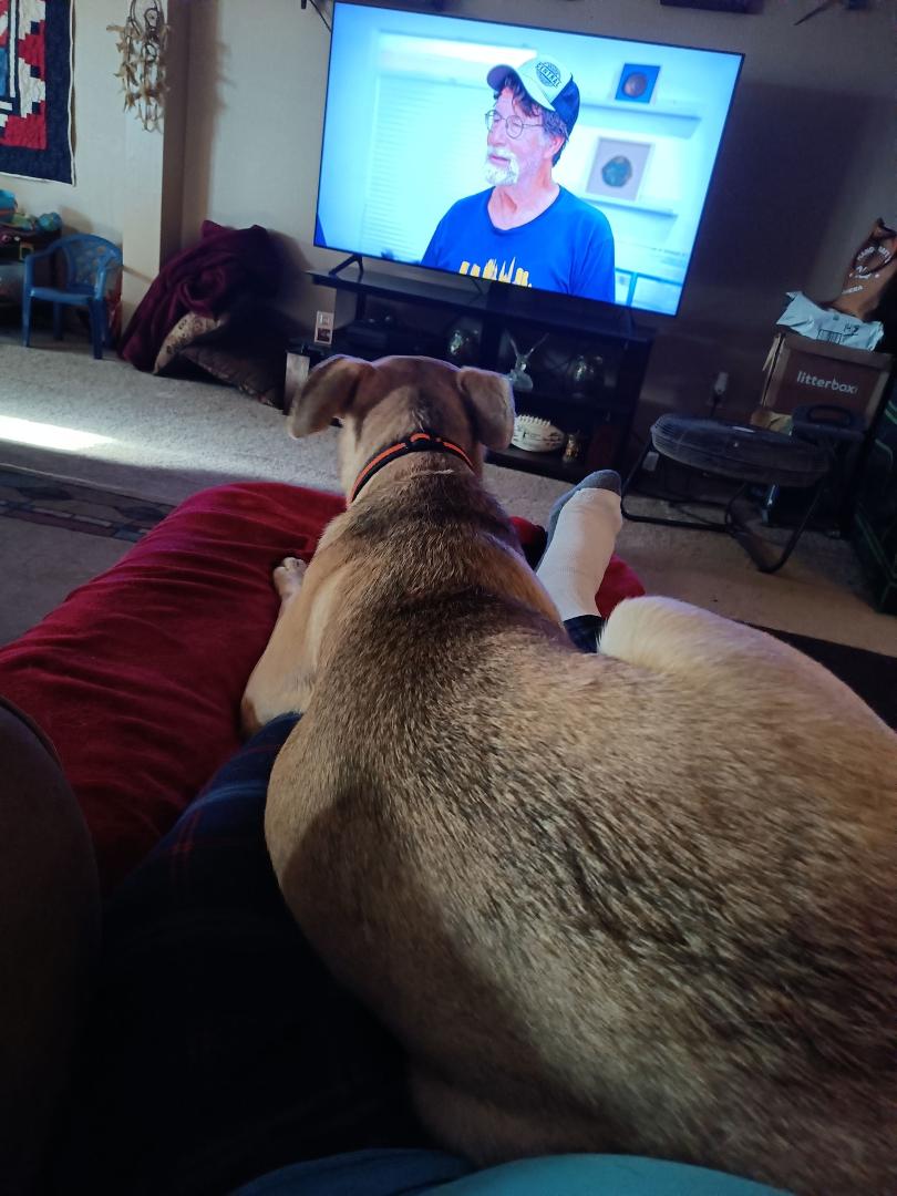 She thinks shes a lap dog lol