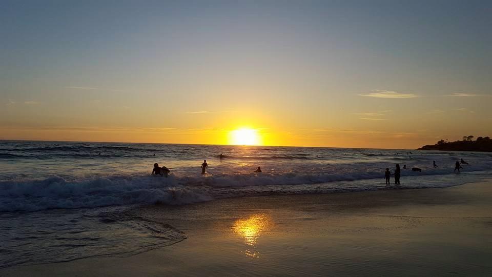 Steve Lee's album, Mobile uploads
