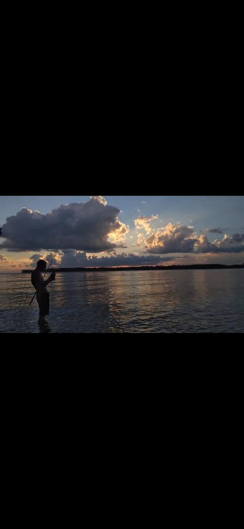 Nick DeChristopher's album, Mobile uploads