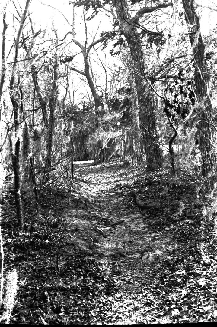 Gerald O'Callaghan's album, Photos