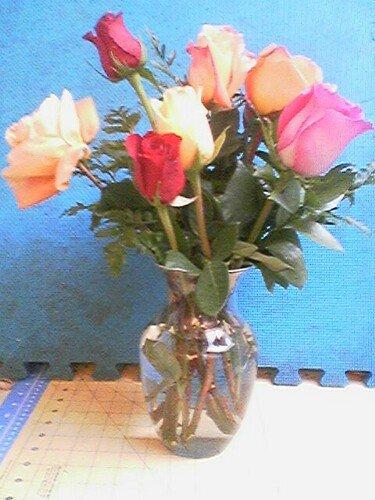 Julee Cornelius Manahan's album, Photos