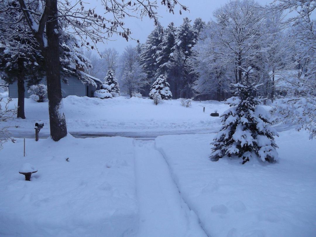Bob McVicker's album, Photos