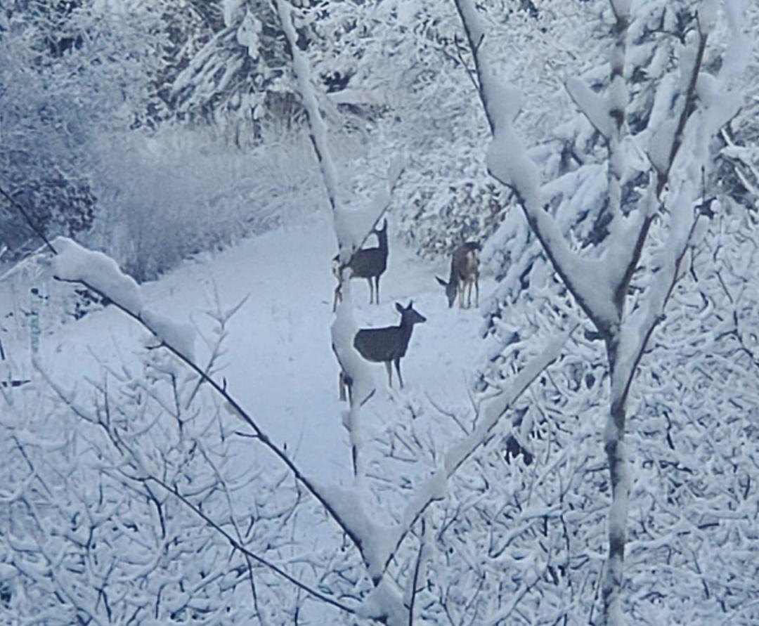 Gary B. Haley's album, Photos