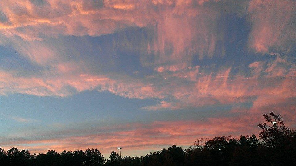 Steve Taylor's album, Mobile uploads