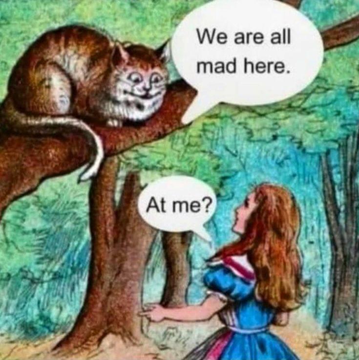 Alice in Social Anxiety Land.