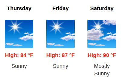 The first day of Spring is still nine days from today.