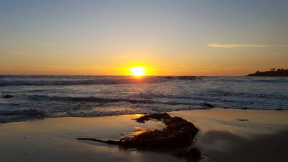 Steve Lee's album, Mobile uploads