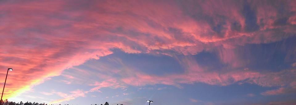 Steve Taylor's album, Mobile uploads