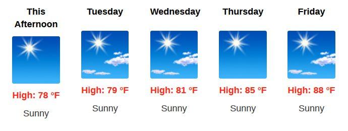 Eleven days until Spring begins.