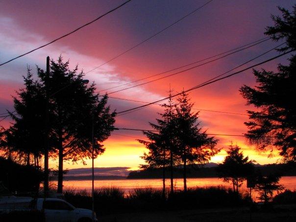 Debbie Millard's album, Photos
