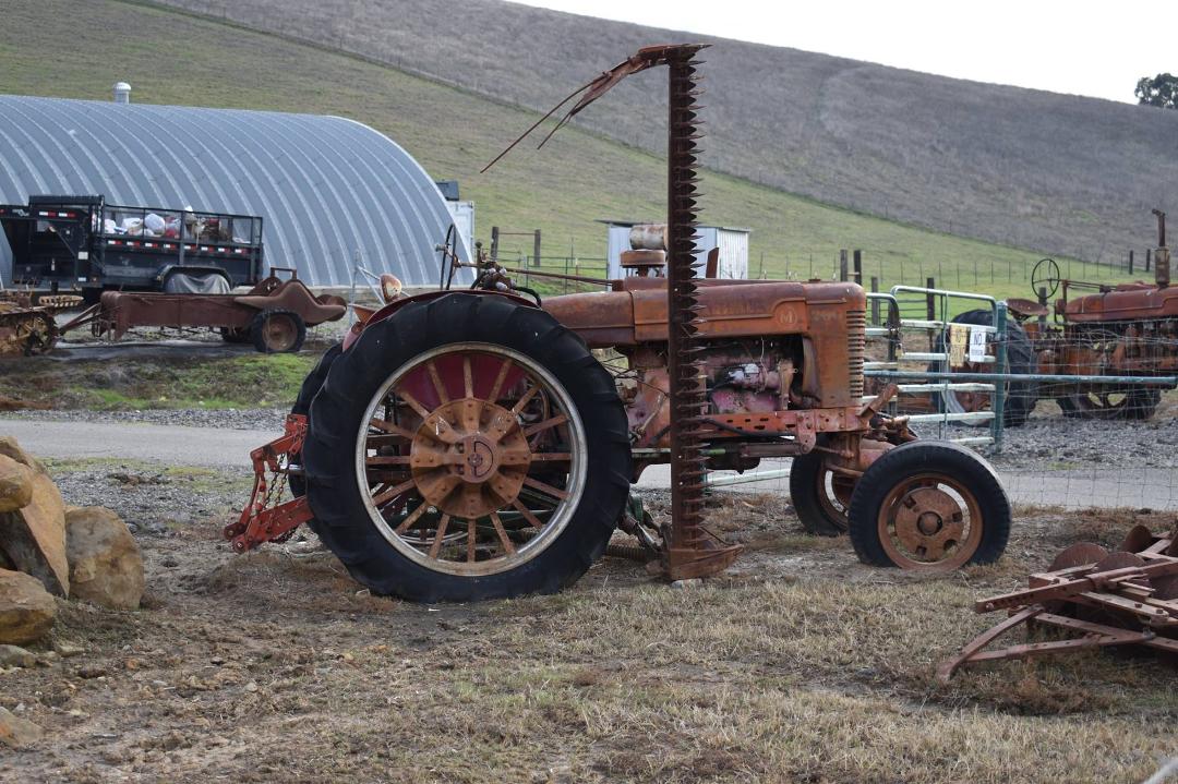 Robert Boyd's album, Photos