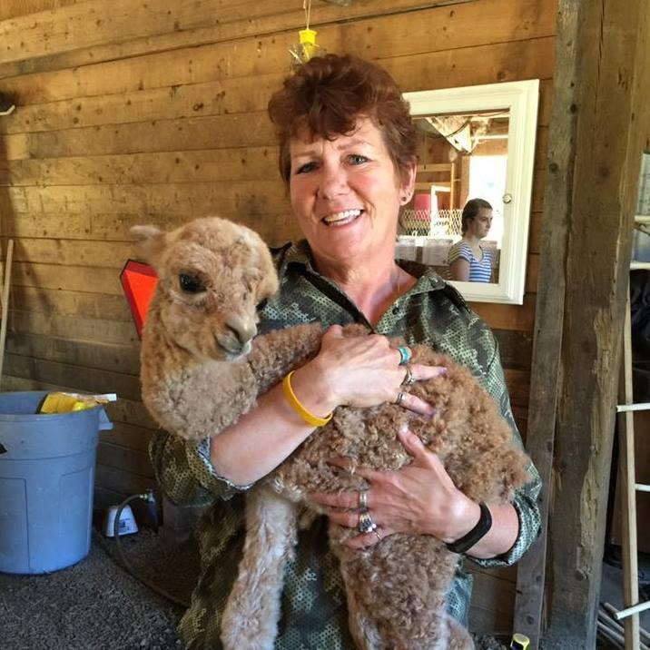 Debbie Nelson's Classmates® Profile Photo