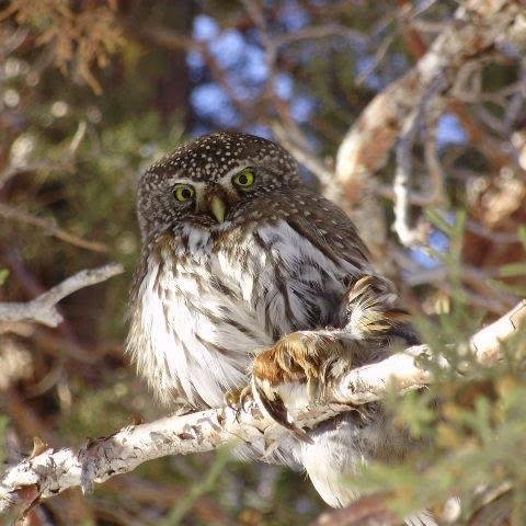 Chuck [C.D.] Wright's Classmates® Profile Photo