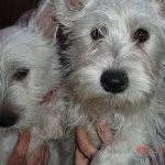 Sherrie Graston's Classmates® Profile Photo