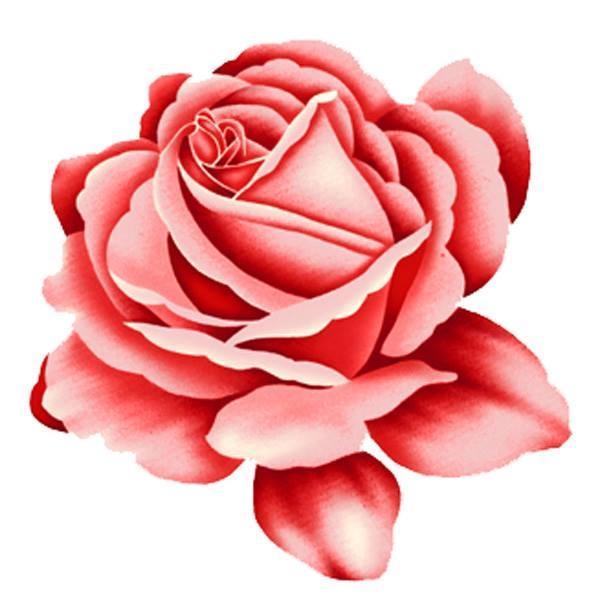Lori Allison's Classmates® Profile Photo