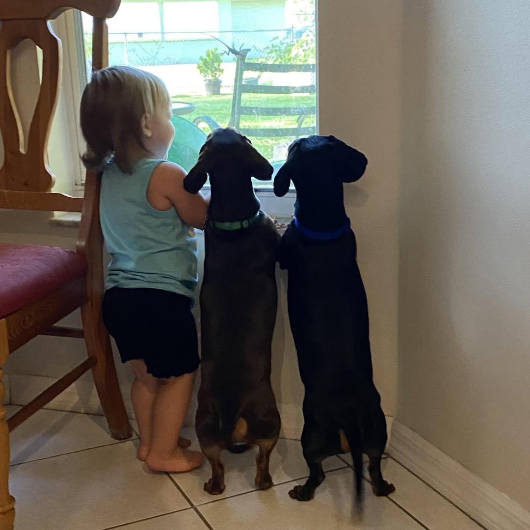 Luiza Alves's Classmates® Profile Photo