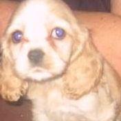 Roxy Tymoruski's Classmates® Profile Photo