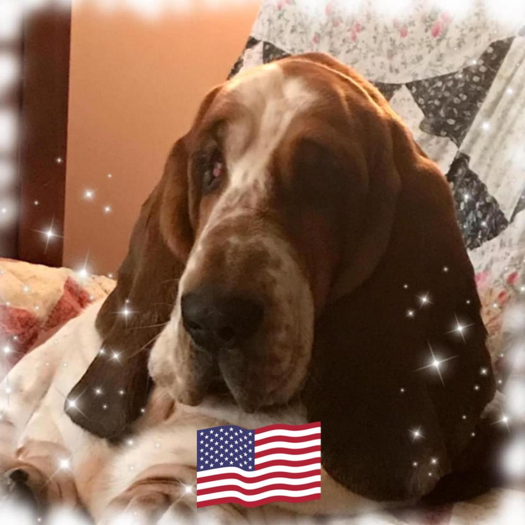 Stephanie Graham's Classmates® Profile Photo