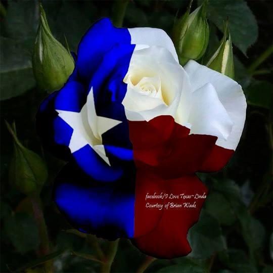 sue childers's Classmates® Profile Photo