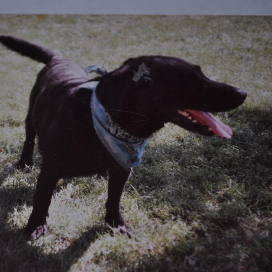 Stanley Dyer's Classmates® Profile Photo