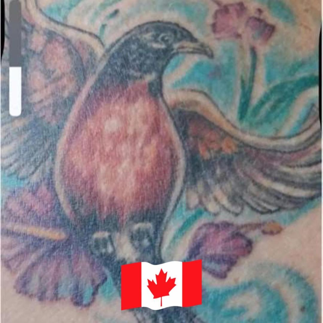NANCY CLOUTIER's Classmates® Profile Photo
