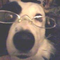 Susan Parker Lowe's Classmates® Profile Photo