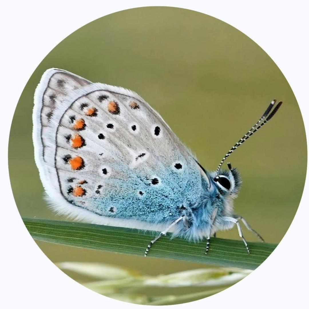 Rita Barrett's Classmates® Profile Photo