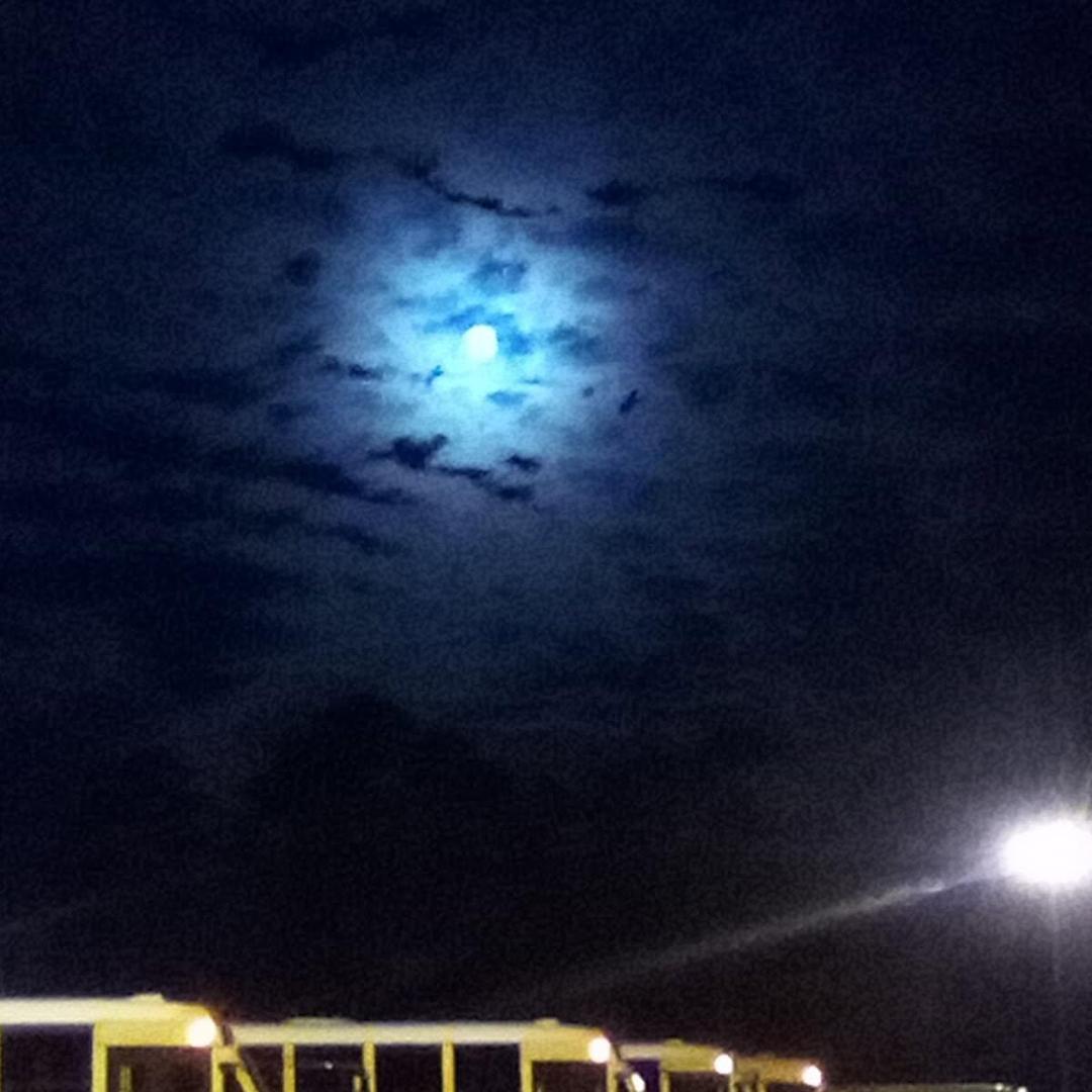 Roxanne Johnson's Classmates® Profile Photo