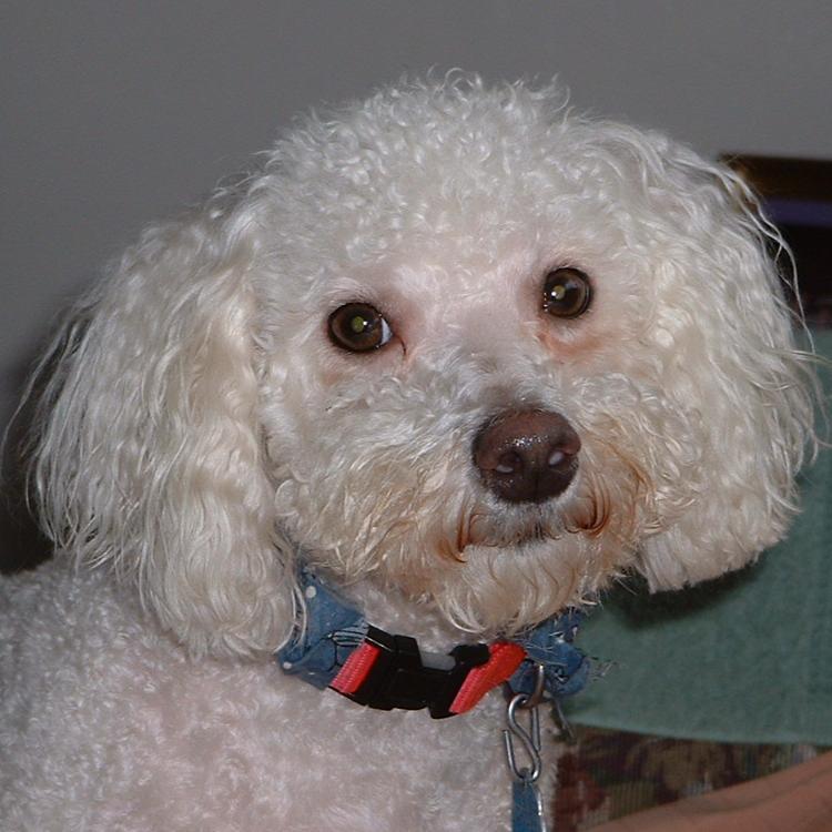 Robert Slusarczyk's Classmates® Profile Photo