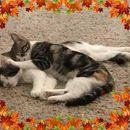 Ramona Howard's Classmates® Profile Photo