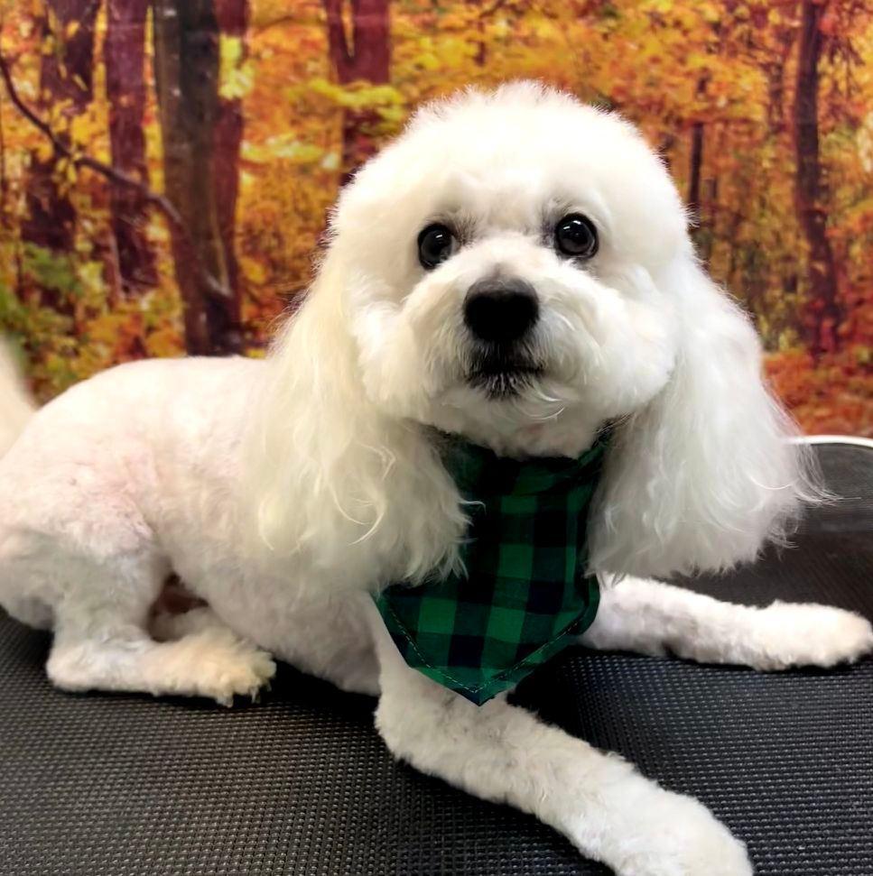 Barbara Tucker's Classmates® Profile Photo
