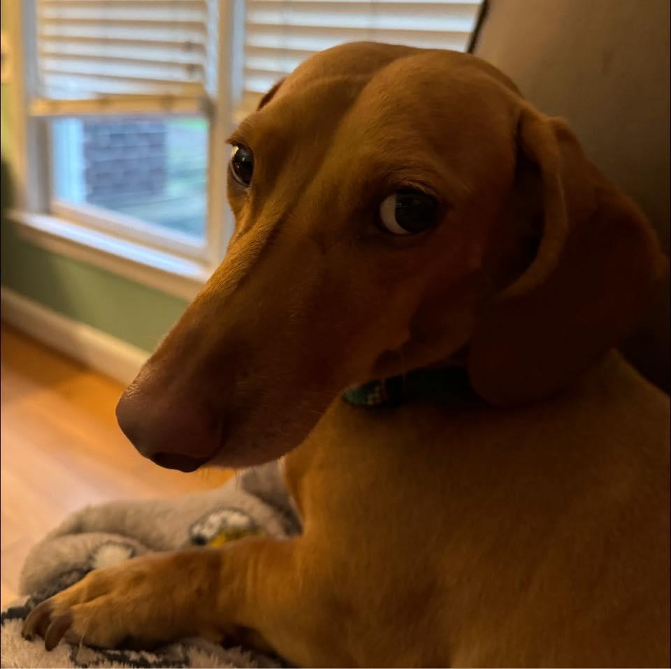 Kathy White's Classmates® Profile Photo