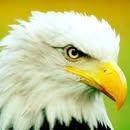 David Weeks's Classmates® Profile Photo