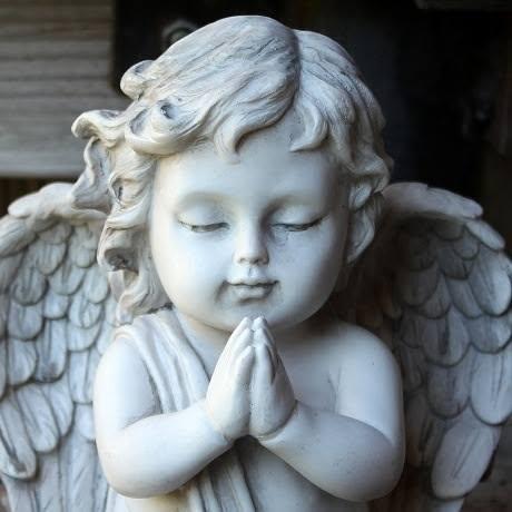 Barbara Farley's Classmates® Profile Photo