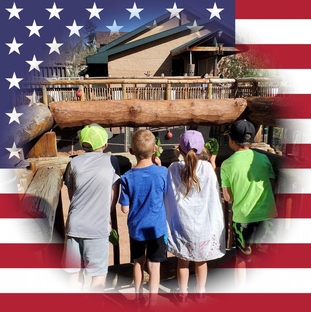 Sandra Clifton's Classmates® Profile Photo