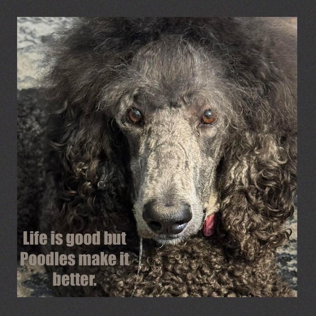 Charlotte Goodman's Classmates® Profile Photo