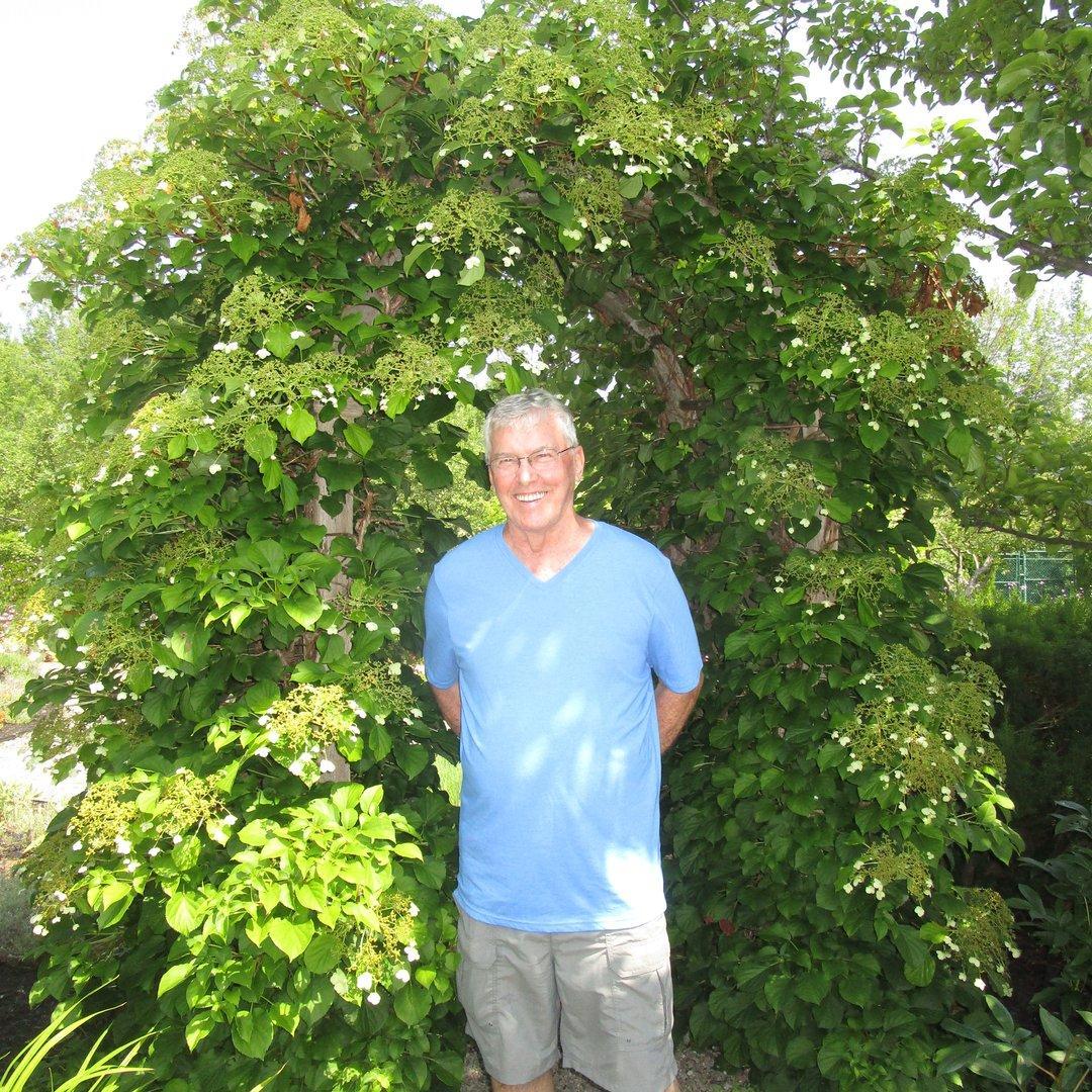 David Bell's Classmates® Profile Photo